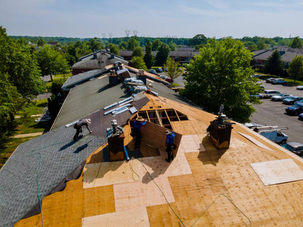 Roof Gutter Cleaning in Somerville, TX