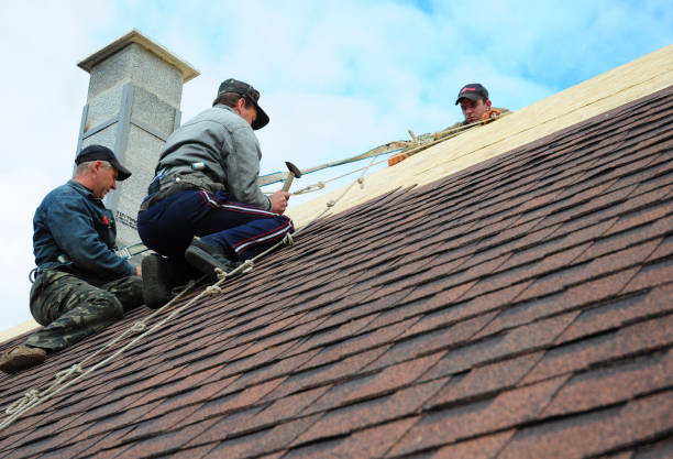 Best Commercial Roofing Services  in Somerville, TX