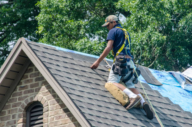 Best Tile Roofing Contractor  in Somerville, TX